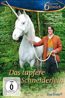 O statečném krejčíkovi  - Tapfere Schneiderlein, Das