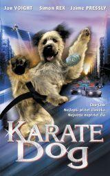 Profilový obrázek - Karate Dog