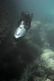 Profilový obrázek - The Business of War/The Bulletproof Tailor/Sakawa Boys/Norwegian Black Metal