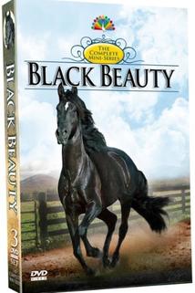 Profilový obrázek - Black Beauty
