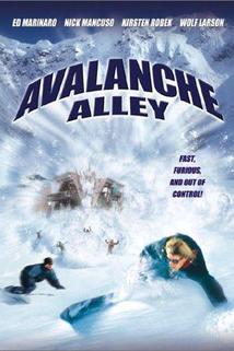 Profilový obrázek - Avalanche Alley