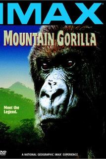 Profilový obrázek - Mountain Gorilla
