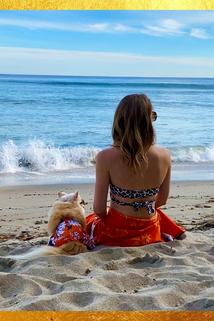 Profilový obrázek - Beach Dog Life in Malibu