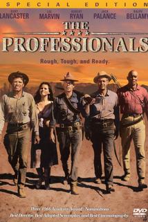 Profilový obrázek - The Professionals: A Classic