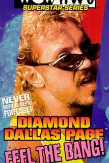 Profilový obrázek - WCW/NWO Superstar Series: Diamond Dallas Page - Feel the Bang!