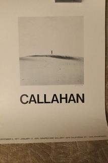 Profilový obrázek - Callahan