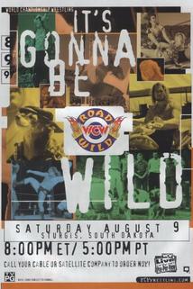 Profilový obrázek - WCW Road Wild '97