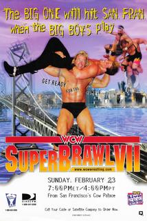 Profilový obrázek - WCW SuperBrawl VII
