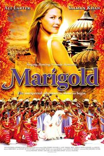 Profilový obrázek - Marigold