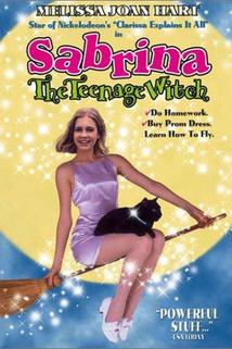 Sabrina the Teenage Witch  - Sabrina the Teenage Witch