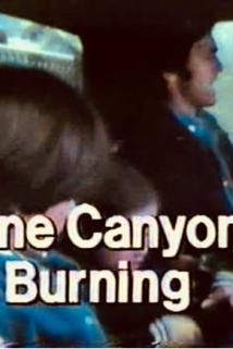 Profilový obrázek - Pine Canyon Is Burning