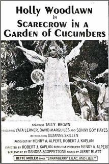 Profilový obrázek - Scarecrow in a Garden of Cucumbers