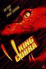 Královská kobra (1999)