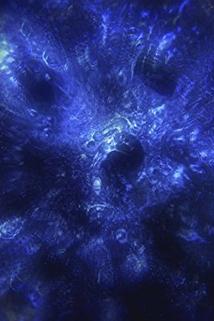 Profilový obrázek - The Dark Matter Enigma