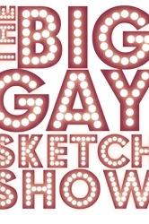 Profilový obrázek - The Big Gay Sketch Show