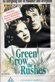 Profilový obrázek - Green Grow the Rushes