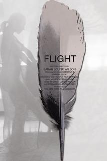 Letec  - Flight