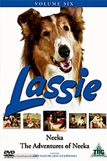 Profilový obrázek - Lassie a Neeka