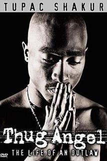 Profilový obrázek - Tupac Shakur: Thug Angel