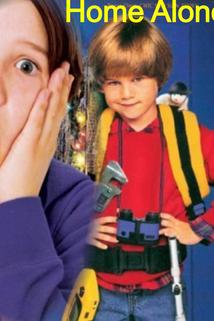 Profilový obrázek - Home Alone 5