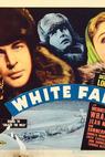White Fang (1936)