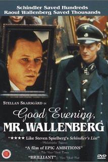 God afton, Herr Wallenberg - En Passionshistoria från verkligheten  - God afton, Herr Wallenberg - En Passionshistoria från verkligheten