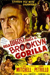 Profilový obrázek - Bela Lugosi Meets a Brooklyn Gorilla