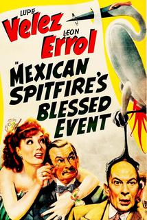 Profilový obrázek - Mexican Spitfire's Blessed Event