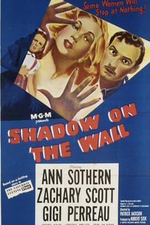 Profilový obrázek - Shadow on the Wall