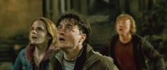 Harry Potter a Relikvie smrti: část 2
