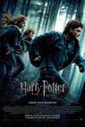 Harry Potter a Relikvie smrti:část 1 (2010)