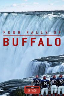 Profilový obrázek - The Four Falls of Buffalo