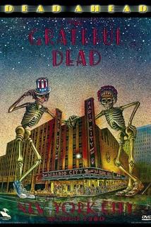 Profilový obrázek - Grateful Dead: Dead Ahead