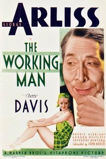 Profilový obrázek - The Working Man