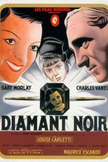 Profilový obrázek - Diamant noir, Le