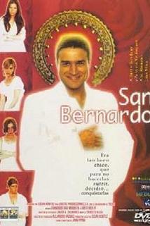 Profilový obrázek - San Bernardo