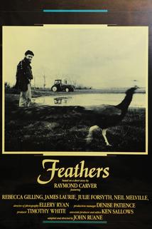 Profilový obrázek - Feathers