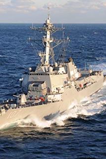 Profilový obrázek - USS Gravely