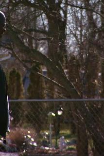 Profilový obrázek - Desperate Dogs