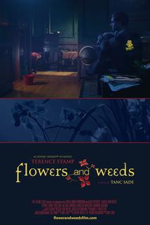 Profilový obrázek - Flowers and Weeds