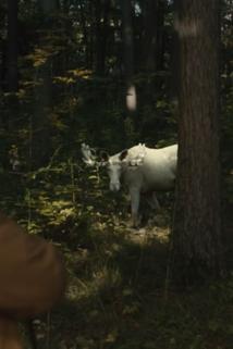 Profilový obrázek - The Great White Moose