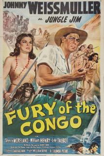 Profilový obrázek - Fury of the Congo