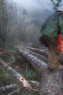 Profilový obrázek - Snappin' Trees