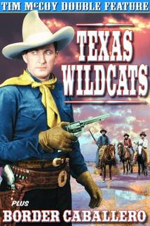 Profilový obrázek - Texas Wildcats