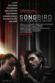 Songbird  - Songbird