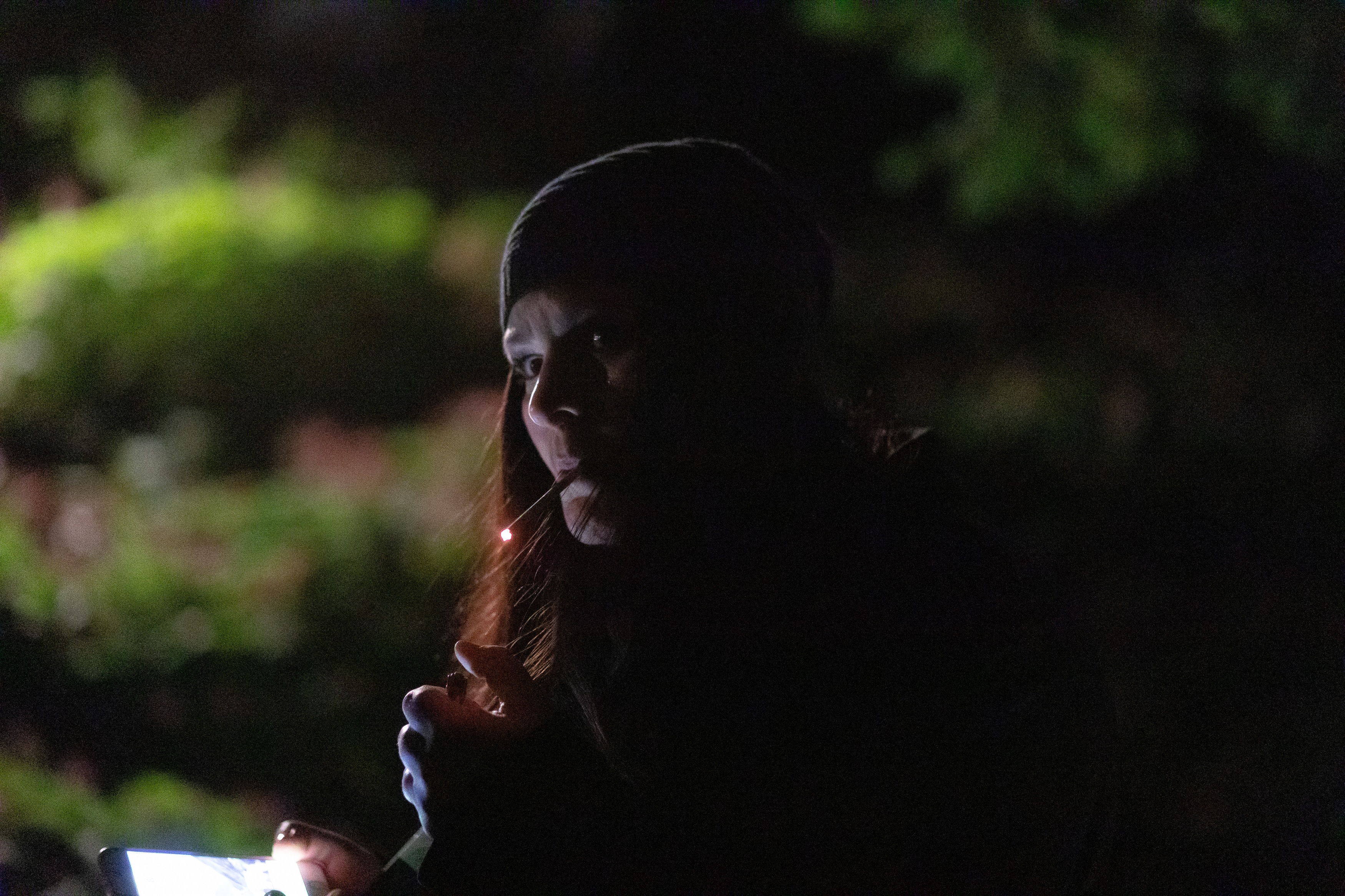 Krev na stříbrném plátně