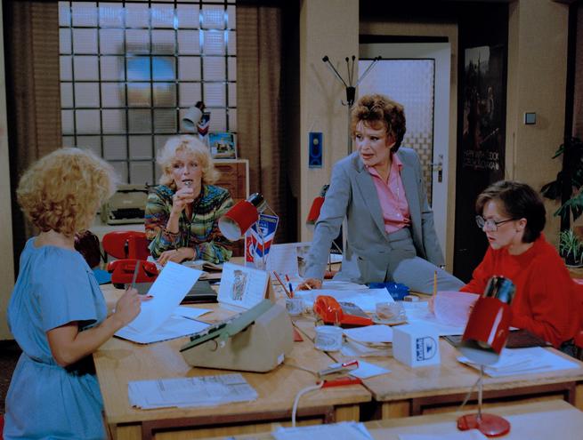 Berete se dobrovolně?