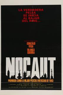 Profilový obrázek - Nocaut