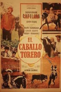 Profilový obrázek - Caballo torero, El