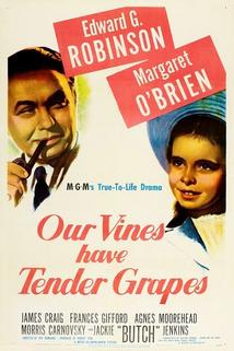 Profilový obrázek - Our Vines Have Tender Grapes